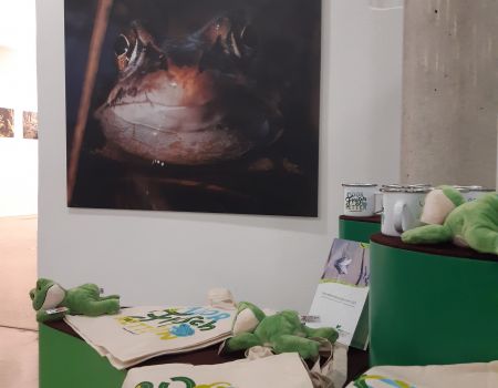 Moorfrosch-Wanderausstellung