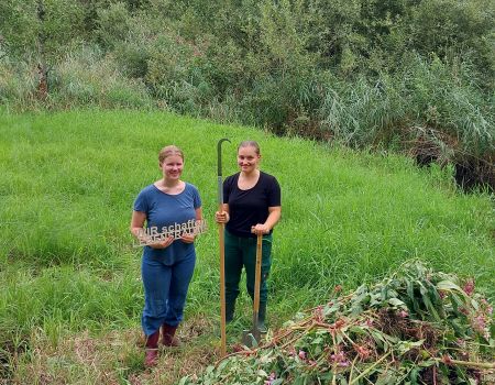 Springkraut Bekämpfung durch unsere FÖJlerin Maren Küstner und Praktikantin Fanny Miller