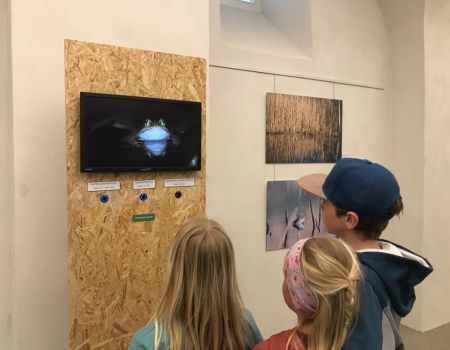 Moorfrosch-Wanderausstellung